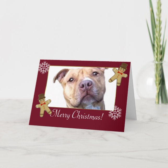 God jul Pitbull Hund Helgkort (Framsida)