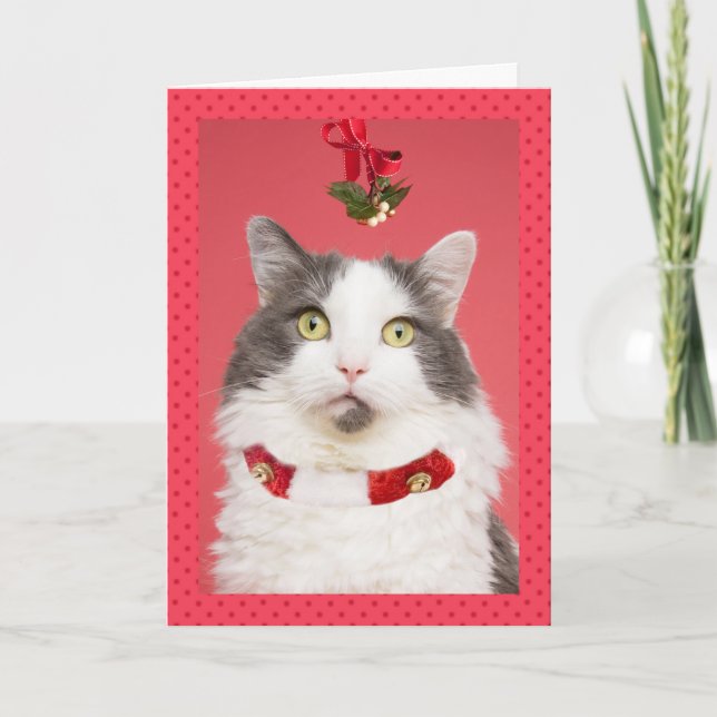 God jul Plockar upp katt under Mistletoe Helgkort (Framsida)