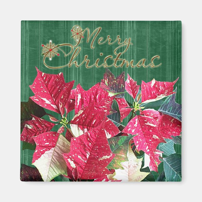 God jul Poinsettia Magnet (Framsidan)
