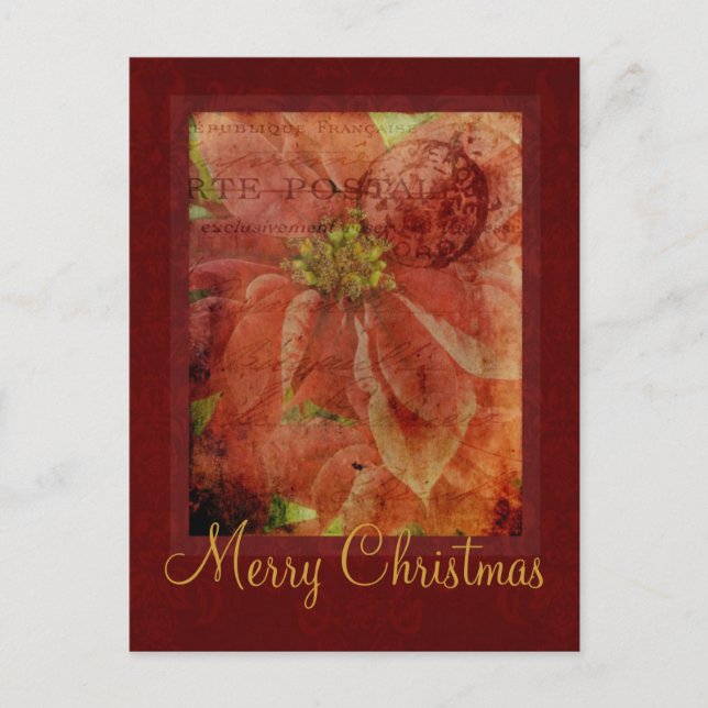 God jul Poinsettia vykort (Framsida)