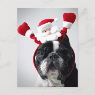 God jul porträtt-bulldocka helg vykort