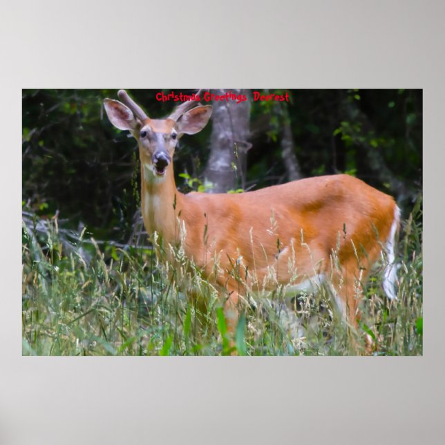 God jul poster (Framsidan)