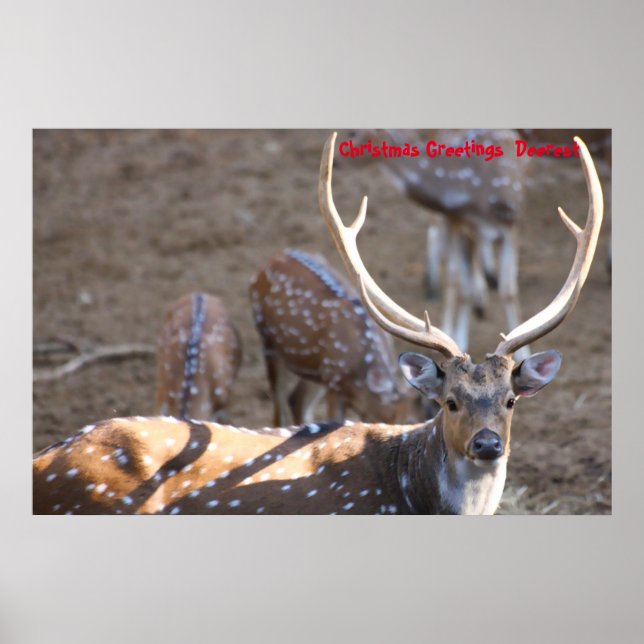 God jul poster (Framsidan)