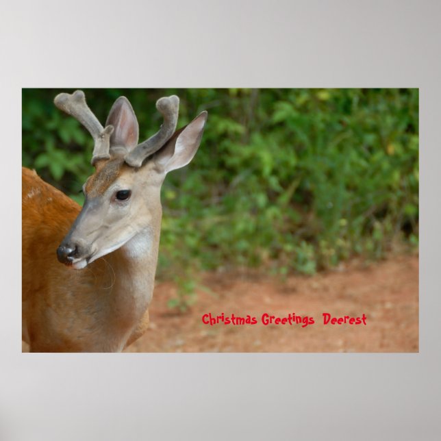 God jul poster (Framsidan)