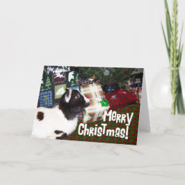 God jul Presenter med Goat Rufus Helgkort