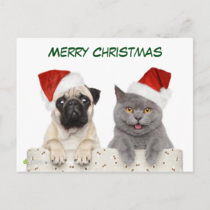 God jul Pug hund och Kittten Helg Vykort