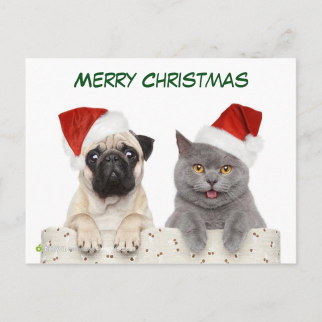 God jul Pug hund och Kittten Helg Vykort (Framsida)