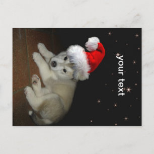 God jul Puppy Helg Vykort