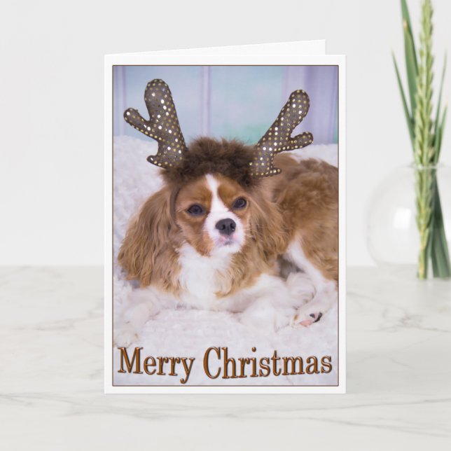 God jul Raindeer Cavalier Kung Charles Helgkort (Framsida)