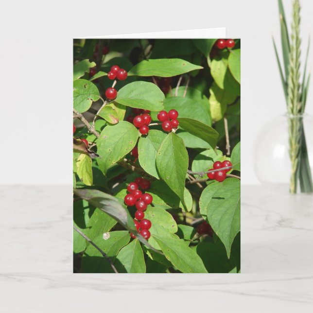 God jul Red Berries Helgkort (Framsida)