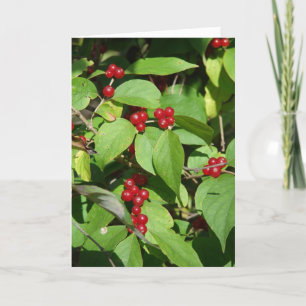 God jul Red Berries Helgkort