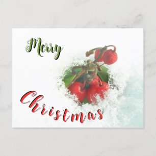 God jul Red Berries ut ur Snö vykort