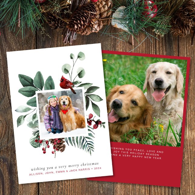 God jul Red Cardinal 2 Photo Julkort (Skapare uppladdad)