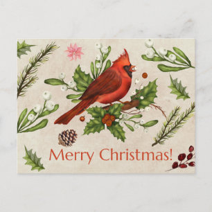 God jul Red Cardinal Vykort