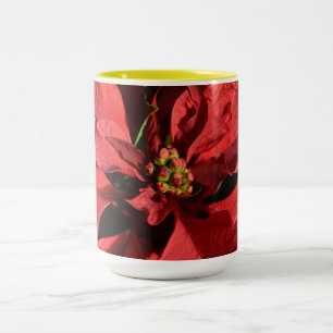 God Jul Röda Julstjärna Två-Tonad Mugg