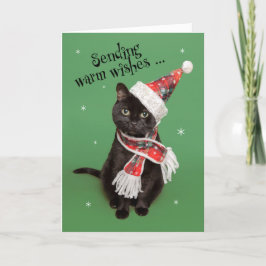 God Jul Rolig Katt i Hatt och Skärp Helgkort