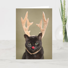 God Jul Rolig Katt i Renhorn Helgkort