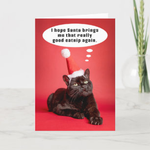 God Jul Rolig Katt Tänker på Kattsnäck Humor Helgkort