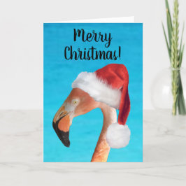 God jul Rosa Flamingo-julkort Helgkort