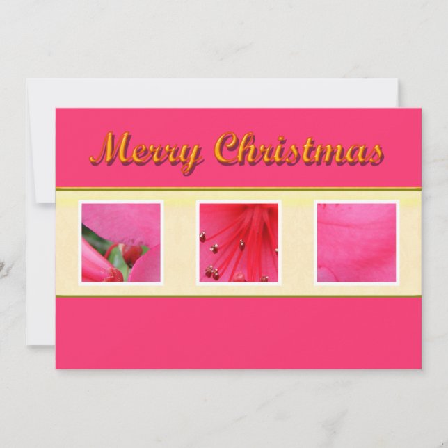 God jul-rosa-gratulationskort julkort (Framsida)