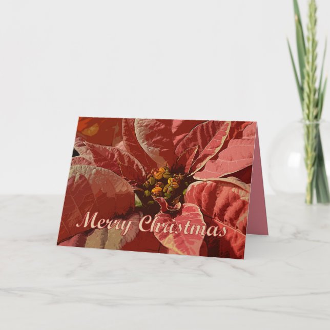 God jul Rosa och Cream Poinsettias Helgkort (Framsida)