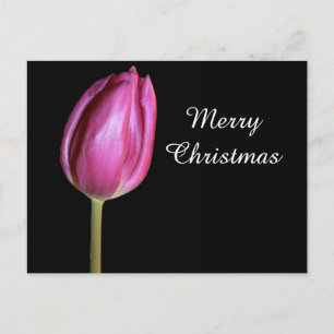 God jul Rosa Tulip Flower Photo Blommigt Helg Vykort