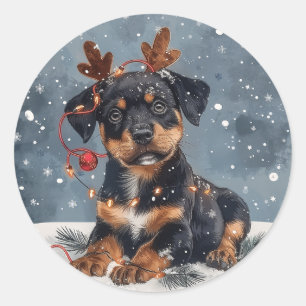 God jul Rottweiler Hund Reindeer Runt Klistermärke