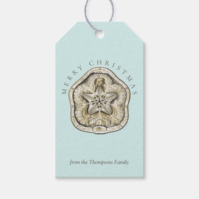 God jul Sand Dollar Turcoise Coastal Presentetikett (Framsidan)