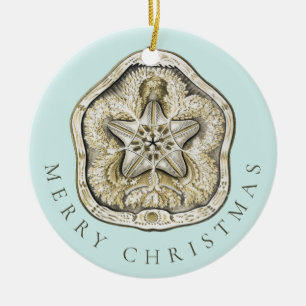 God jul Sand Dollar Turcos Mönster Julgransprydnad Keramik