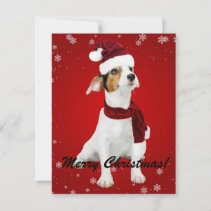 God jul Santa Hund Julkort