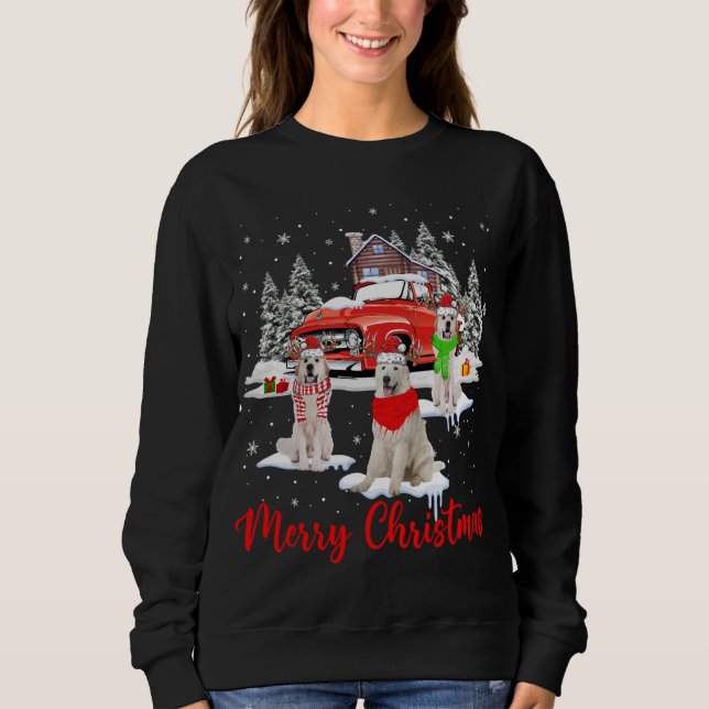 God jul Santa Reindeer, Underbara Pyrenéer med T Shirt (Framsida)