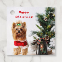 God jul Santa Yorkie med Julgran
