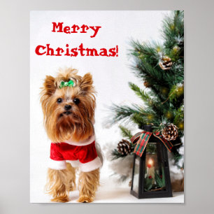 God jul Santa Yorkie med Julgran Poster