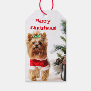 God jul Santa Yorkie med Julgran Presentetikett