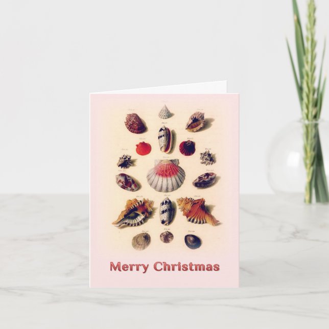 God jul Seashells Rosa Greeting Card Kort (Framsida)