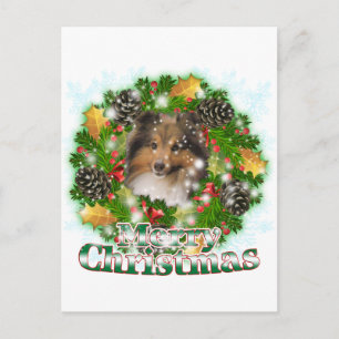 God jul Sheltie Helg Vykort