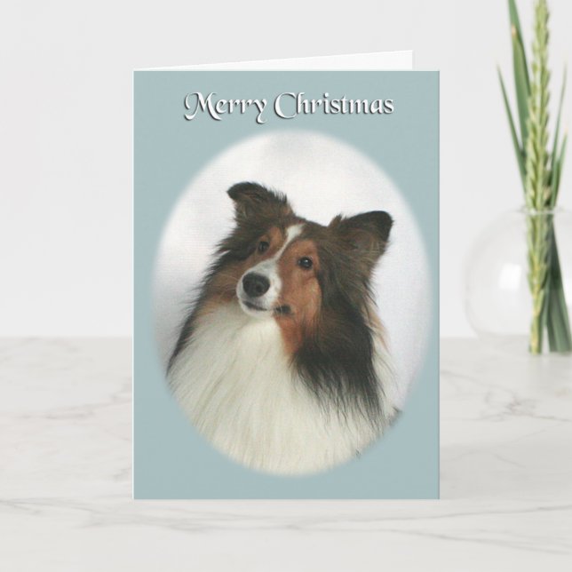 God jul Sheltie Helgkort (Framsida)
