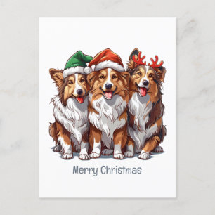 God jul Shetland Sheephund Helg Vykort