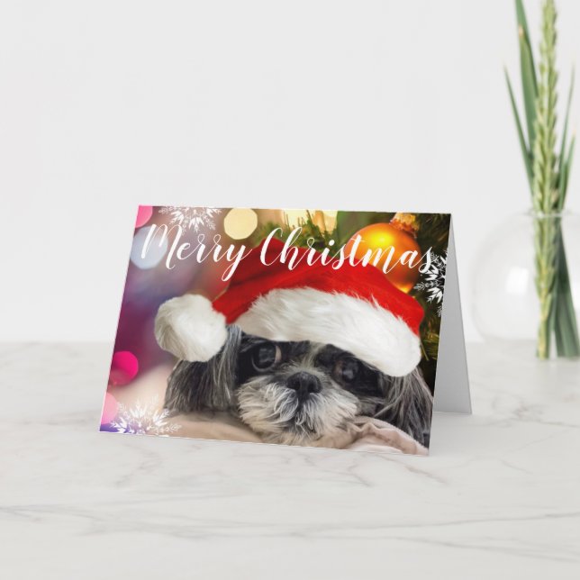 God jul Shih Tzu-hälsningskort Helgkort (Framsida)