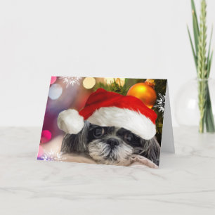 God jul Shih Tzu-hälsningskort Helgkort