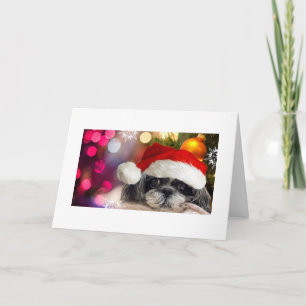God jul Shih Tzu-hälsningskort Helgkort