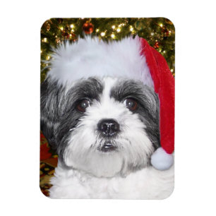 God Jul Shih Tzu Hund Magnet