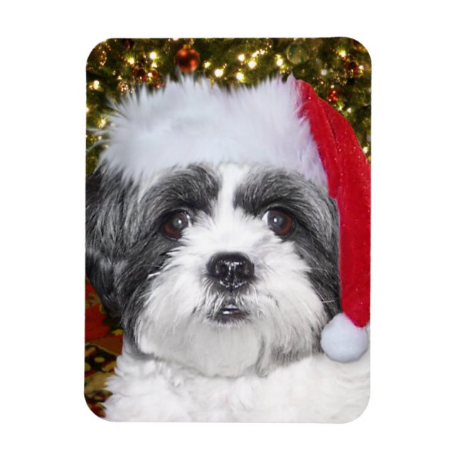God Jul Shih Tzu Hund Magnet (Vertikal)