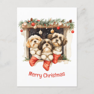 God jul Shih Tzu Hundar Vykort