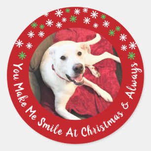 God jul Smilda Hund Photo Funny Red Circle Runt Klistermärke