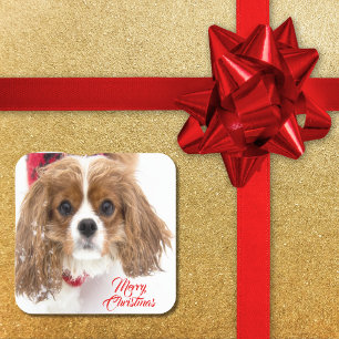 God Jul Snöig Cavalier King Charles Fyrkantigt Klistermärke