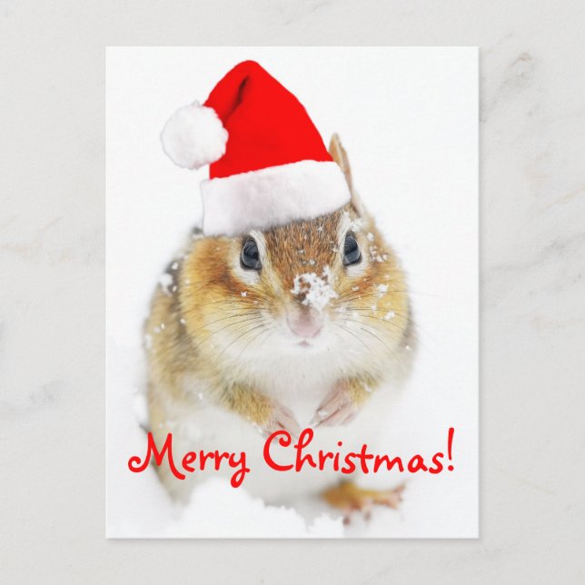 God jul Snowy Santa Chipmunk Helg Vykort (Framsida)