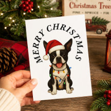 God Jul Söt Boston Terrier Tomtehatt Hund
