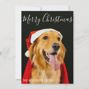 God Jul Söt Hund Foto Enkla Önskningar Julkort