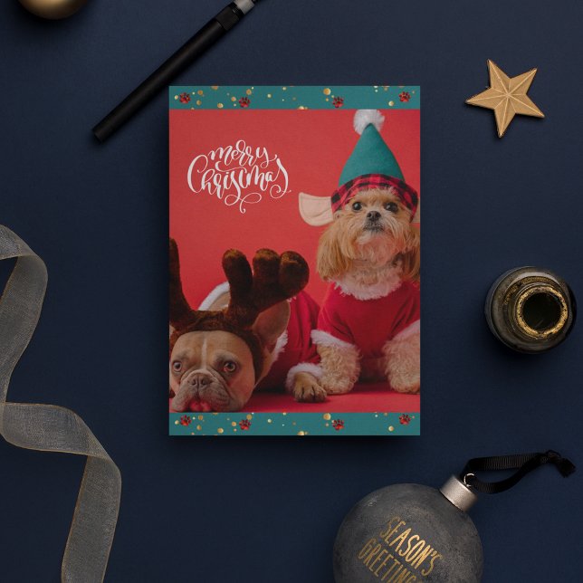 God Jul Söt Hund Jul Julkort (Front)